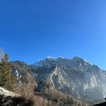 公寓 Traumsee Am Traunsee In Mit 180 Grad See- Und Traunsteinblick