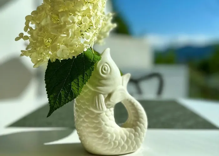 Apartmán Traumsee Am Traunsee In Mit 180 Grad See- Und Traunsteinblick Gmunden