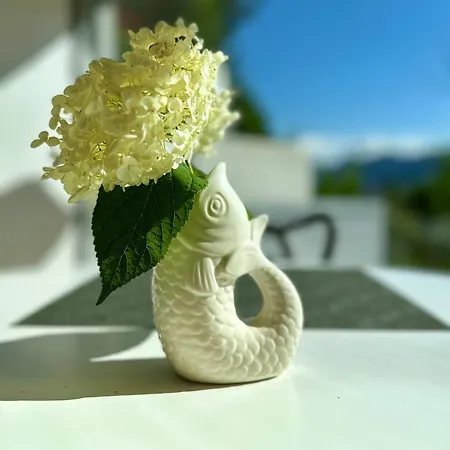 Appartamento Traumsee Am Traunsee In Mit 180 Grad See- Und Traunsteinblick Gmunden