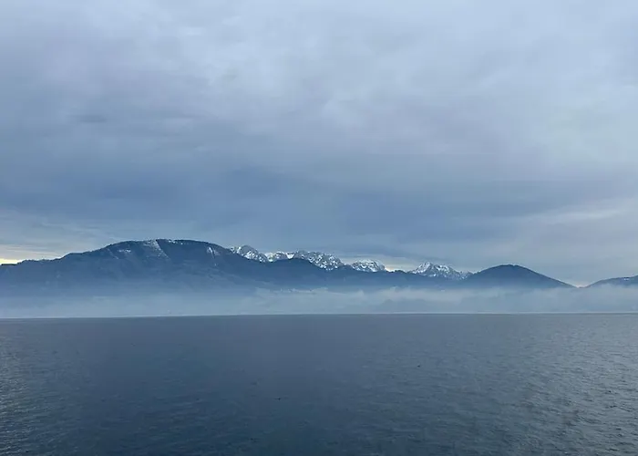 Traumsee Am Traunsee In Mit 180 Grad See- Und Traunsteinblick