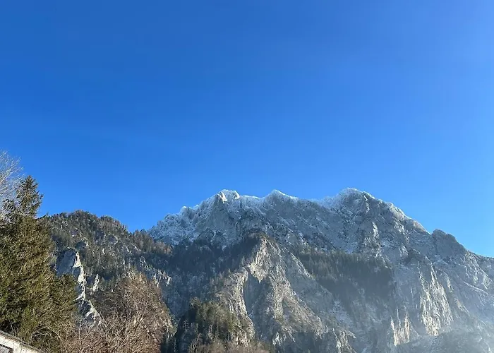 Appartement Traumsee Am Traunsee In Mit 180 Grad See- Und Traunsteinblick